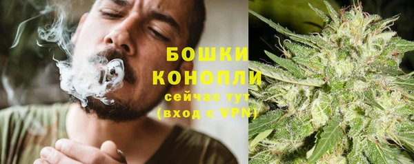 альфа пвп Гусь-Хрустальный