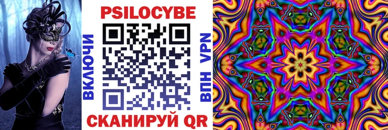 Купить закладки  Болхов  Галлюциногенные грибы GOLDEN TEACHER 